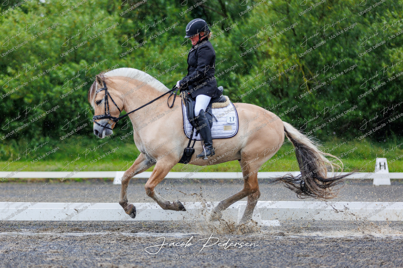 Nibe_Klasse_13_JM_Senior_Dressur-17