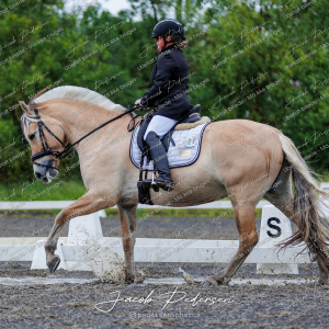 Nibe_Klasse_13_JM_Senior_Dressur-18
