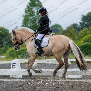 Nibe_Klasse_13_JM_Senior_Dressur-19
