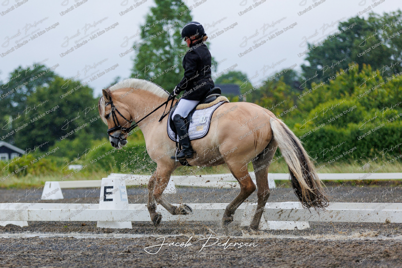 Nibe_Klasse_13_JM_Senior_Dressur-19