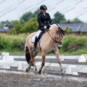 Nibe_Klasse_13_JM_Senior_Dressur-2