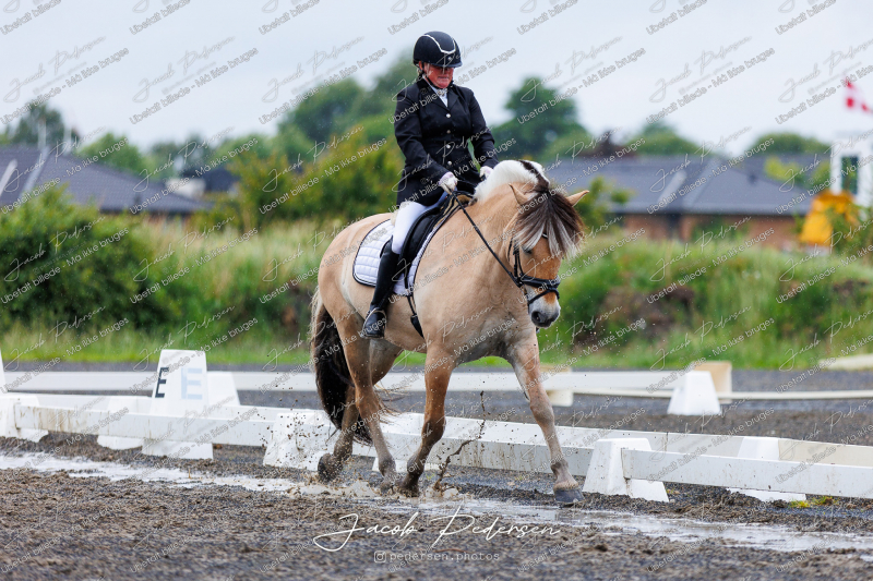 Nibe_Klasse_13_JM_Senior_Dressur-2