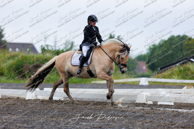 Nibe_Klasse_13_JM_Senior_Dressur-22