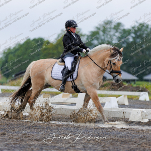 Nibe_Klasse_13_JM_Senior_Dressur-23