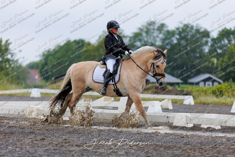 Nibe_Klasse_13_JM_Senior_Dressur-23