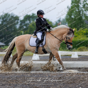 Nibe_Klasse_13_JM_Senior_Dressur-24