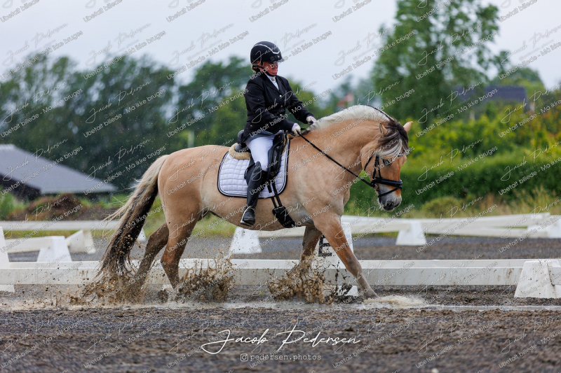Nibe_Klasse_13_JM_Senior_Dressur-24