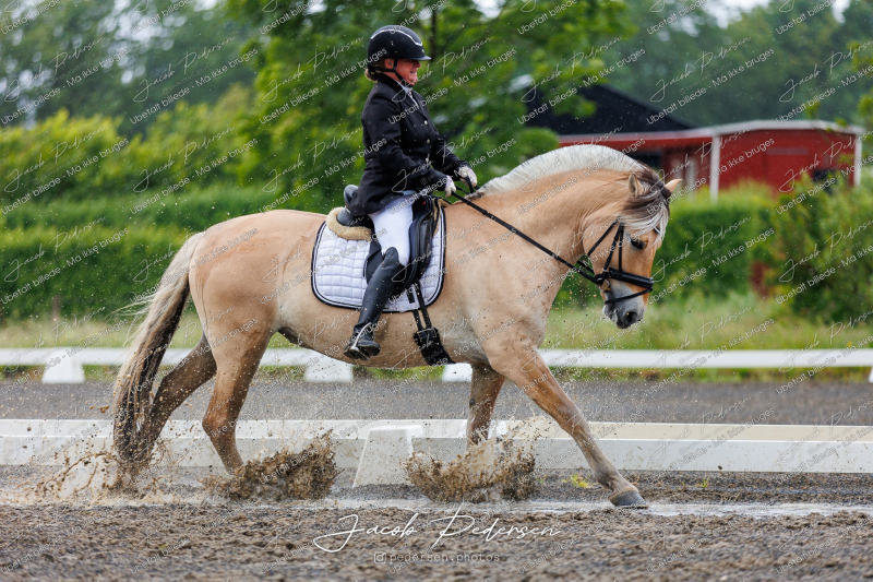Nibe_Klasse_13_JM_Senior_Dressur-25