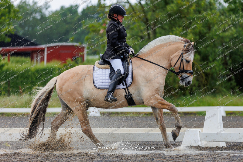 Nibe_Klasse_13_JM_Senior_Dressur-26