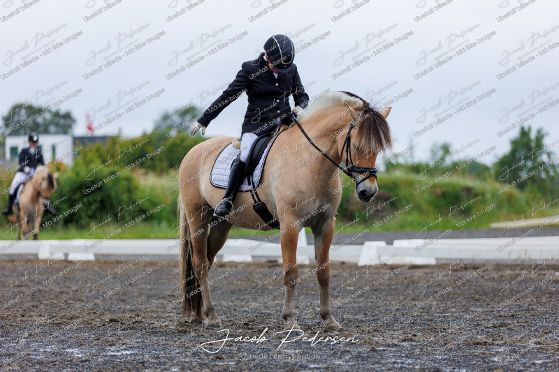 Nibe_Klasse_13_JM_Senior_Dressur-27