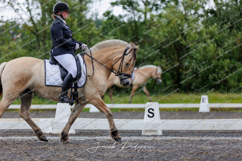Nibe_Klasse_13_JM_Senior_Dressur-28