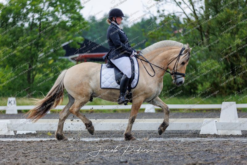 Nibe_Klasse_13_JM_Senior_Dressur-29