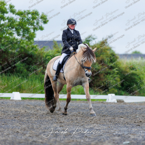 Nibe_Klasse_13_JM_Senior_Dressur-3