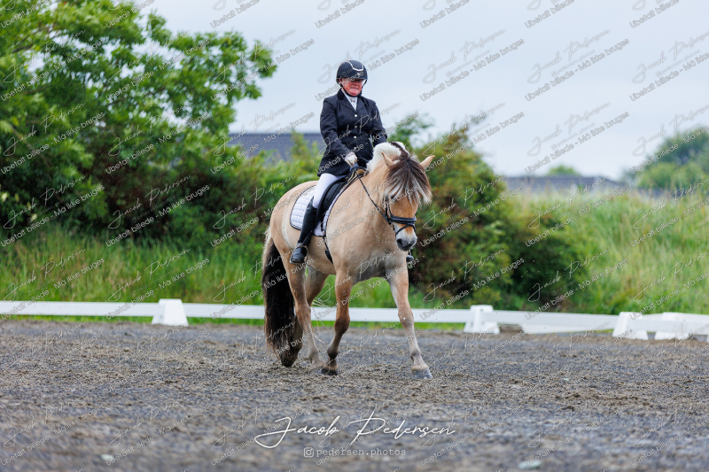 Nibe_Klasse_13_JM_Senior_Dressur-3