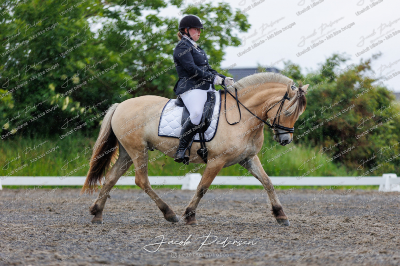 Nibe_Klasse_13_JM_Senior_Dressur-30