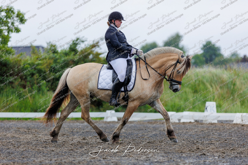 Nibe_Klasse_13_JM_Senior_Dressur-31