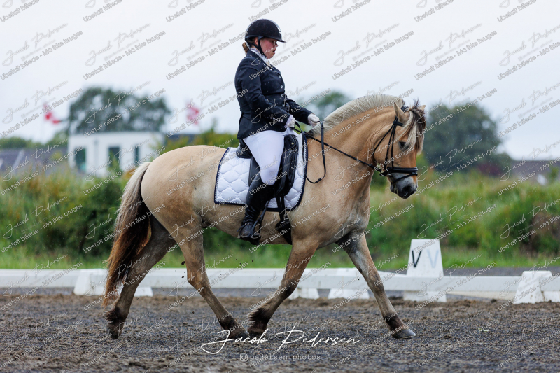 Nibe_Klasse_13_JM_Senior_Dressur-32