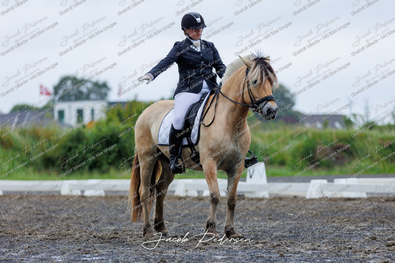 Nibe_Klasse_13_JM_Senior_Dressur-33