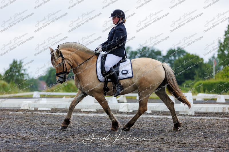 Nibe_Klasse_13_JM_Senior_Dressur-34