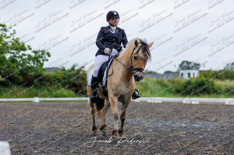 Nibe_Klasse_13_JM_Senior_Dressur-35