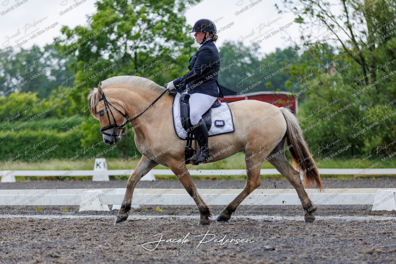 Nibe_Klasse_13_JM_Senior_Dressur-36