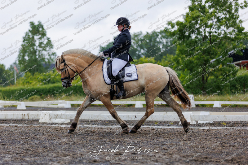 Nibe_Klasse_13_JM_Senior_Dressur-37