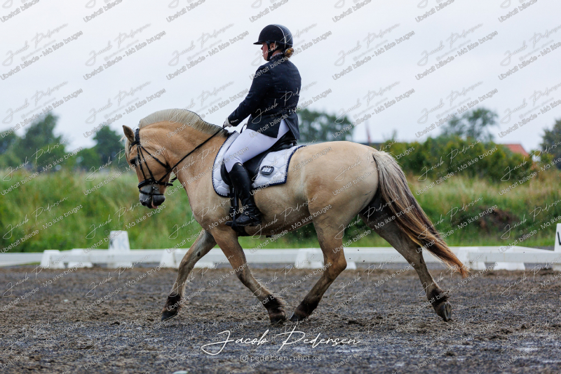 Nibe_Klasse_13_JM_Senior_Dressur-38