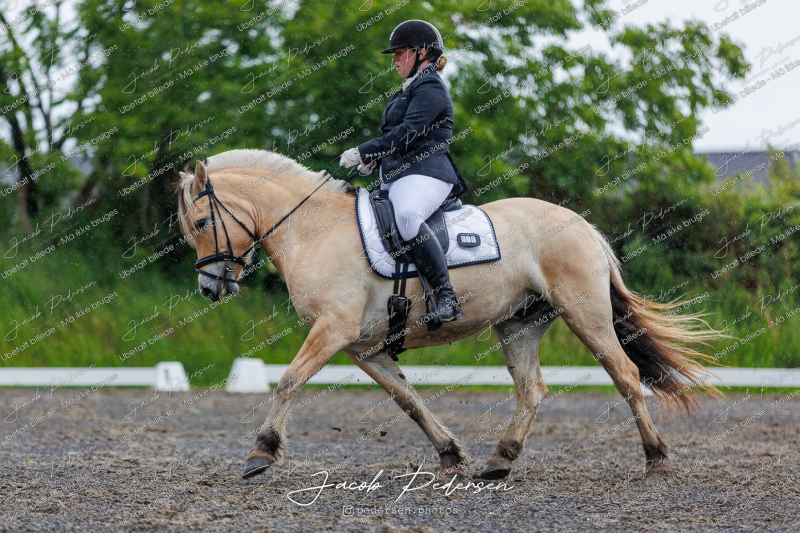 Nibe_Klasse_13_JM_Senior_Dressur-39