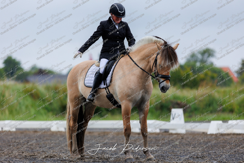 Nibe_Klasse_13_JM_Senior_Dressur-4