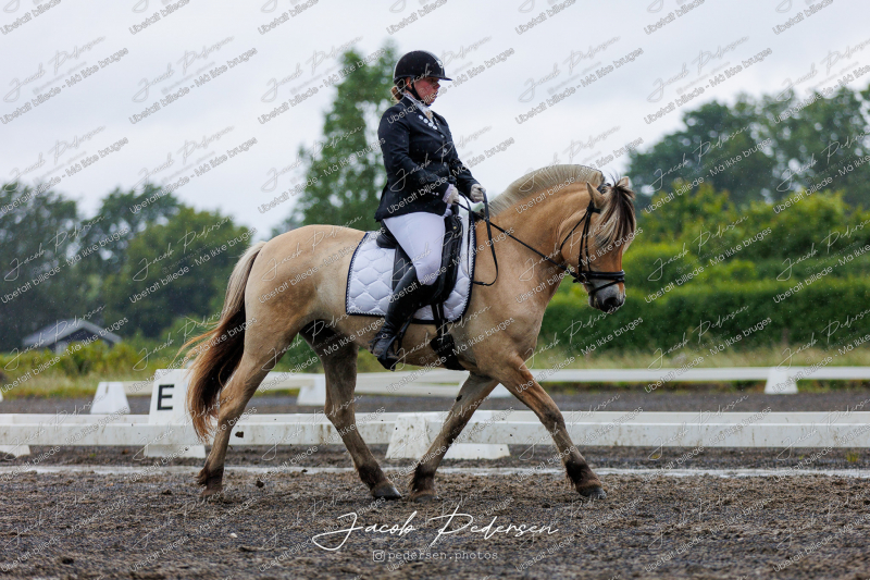 Nibe_Klasse_13_JM_Senior_Dressur-40
