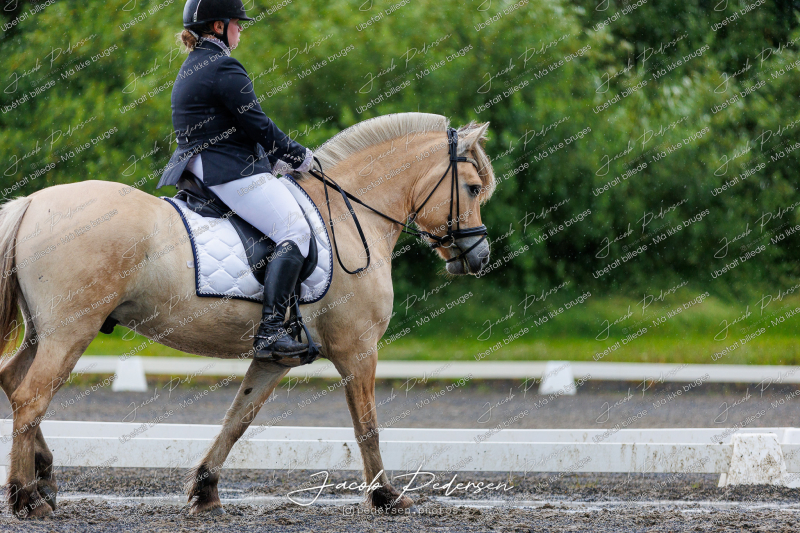 Nibe_Klasse_13_JM_Senior_Dressur-42
