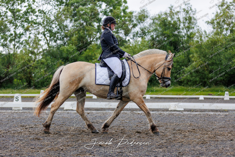 Nibe_Klasse_13_JM_Senior_Dressur-43