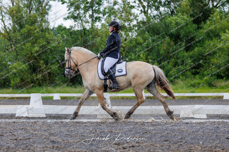 Nibe_Klasse_13_JM_Senior_Dressur-44