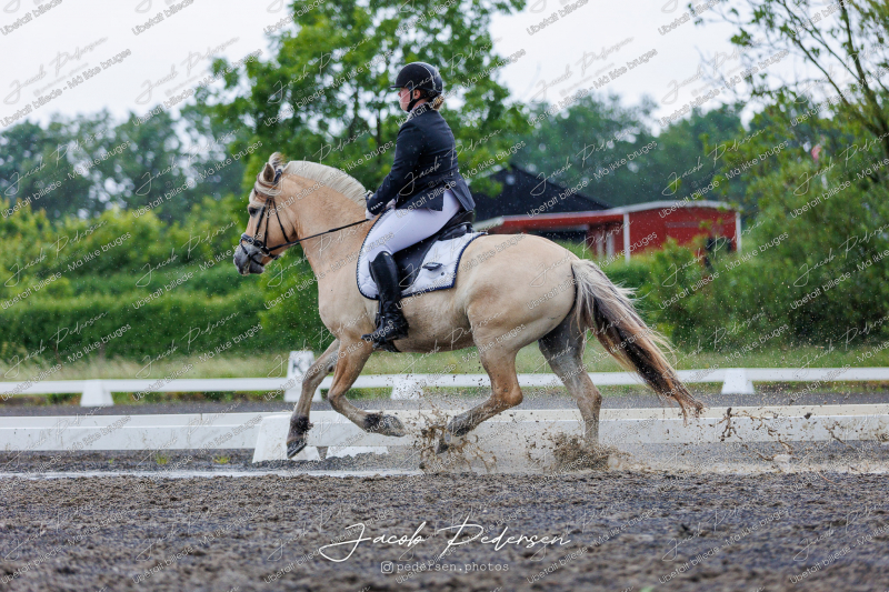 Nibe_Klasse_13_JM_Senior_Dressur-45