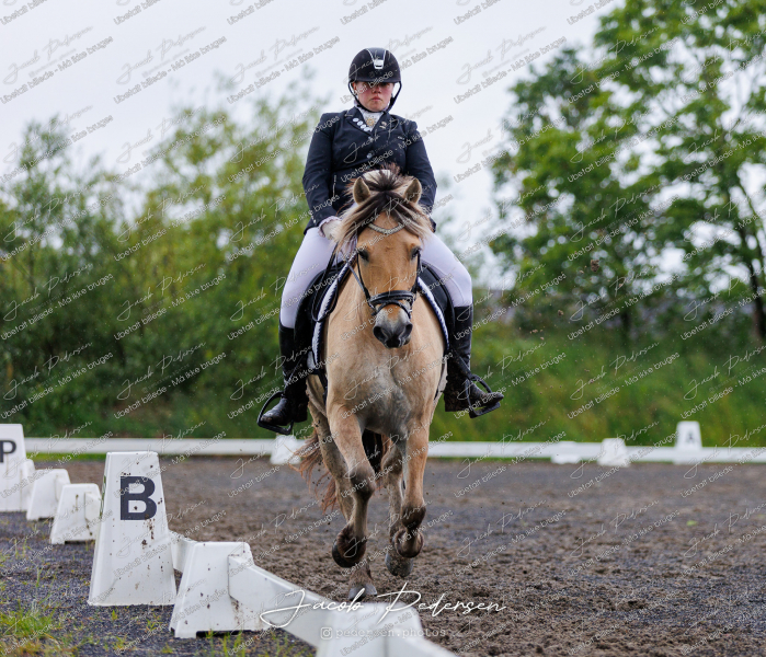 Nibe_Klasse_13_JM_Senior_Dressur-47