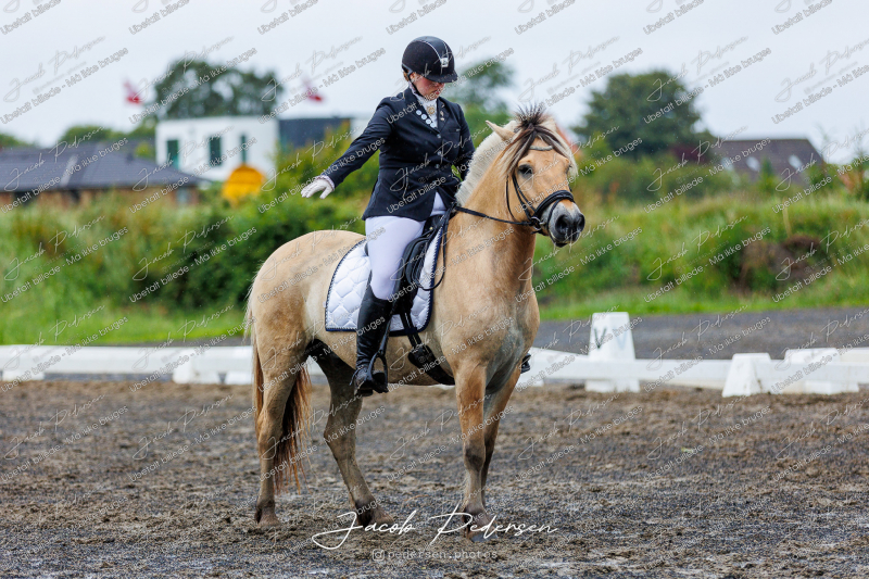 Nibe_Klasse_13_JM_Senior_Dressur-49