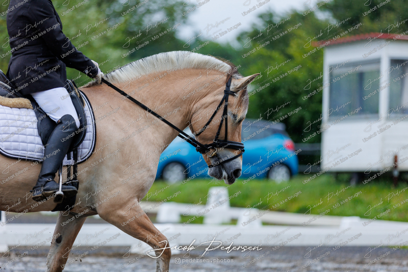 Nibe_Klasse_13_JM_Senior_Dressur-5