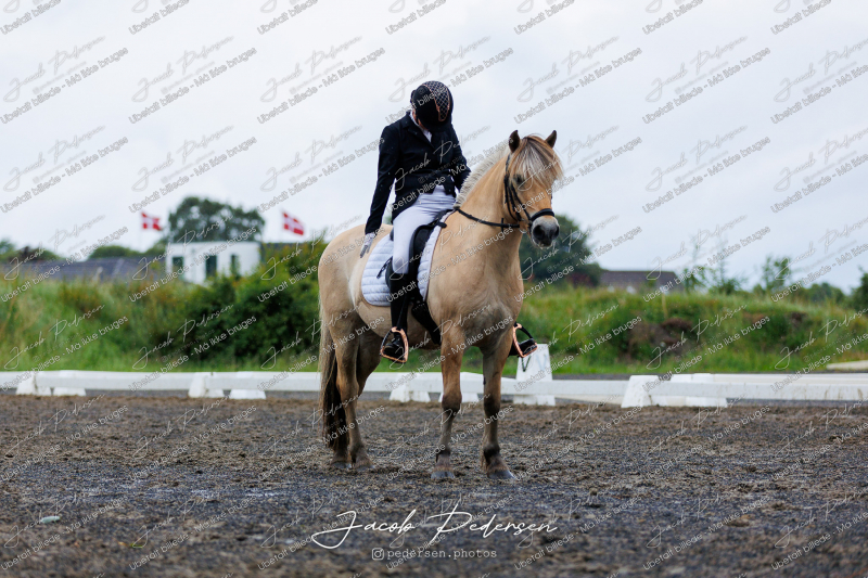 Nibe_Klasse_13_JM_Senior_Dressur-50