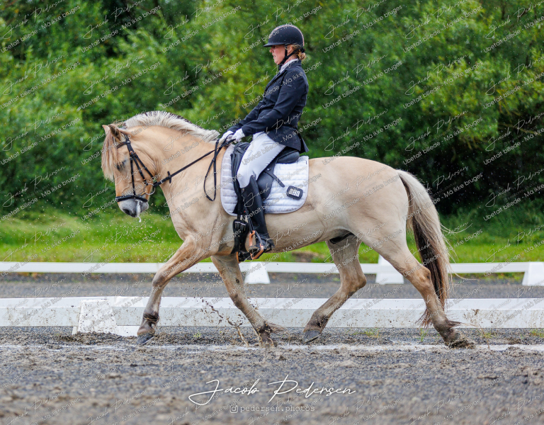 Nibe_Klasse_13_JM_Senior_Dressur-51