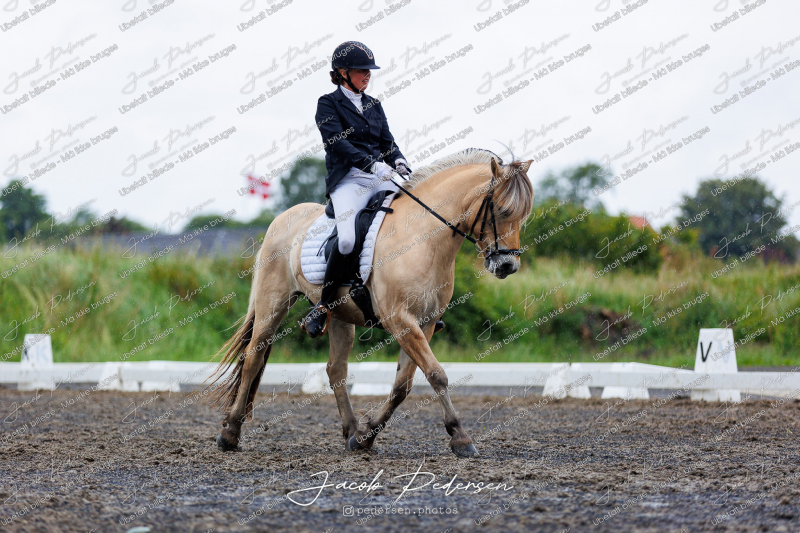 Nibe_Klasse_13_JM_Senior_Dressur-53