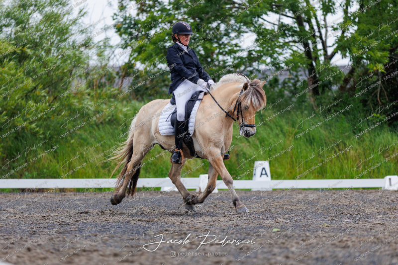 Nibe_Klasse_13_JM_Senior_Dressur-54