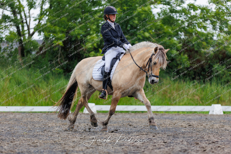 Nibe_Klasse_13_JM_Senior_Dressur-55