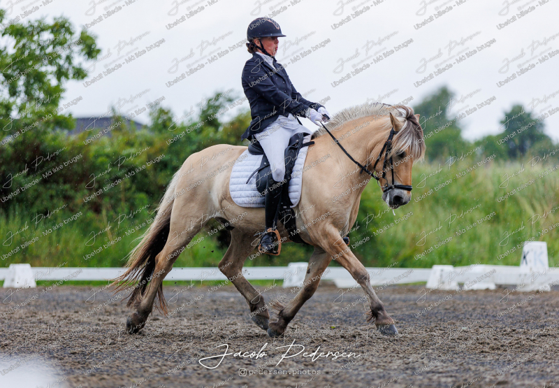 Nibe_Klasse_13_JM_Senior_Dressur-56