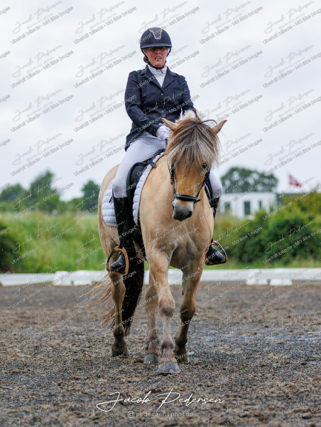 Nibe_Klasse_13_JM_Senior_Dressur-58