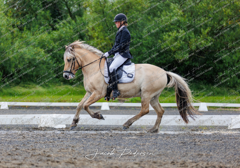 Nibe_Klasse_13_JM_Senior_Dressur-59