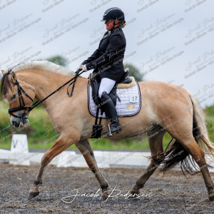 Nibe_Klasse_13_JM_Senior_Dressur-6