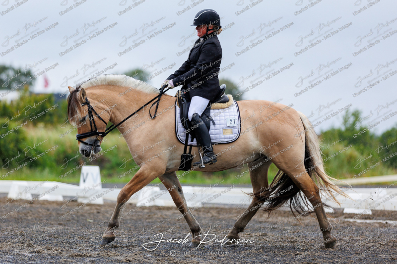 Nibe_Klasse_13_JM_Senior_Dressur-6