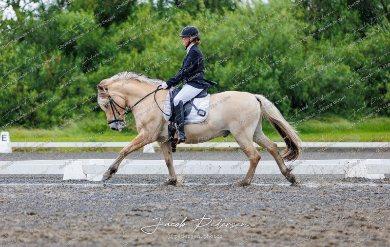 Nibe_Klasse_13_JM_Senior_Dressur-60