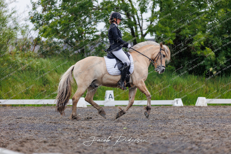 Nibe_Klasse_13_JM_Senior_Dressur-61