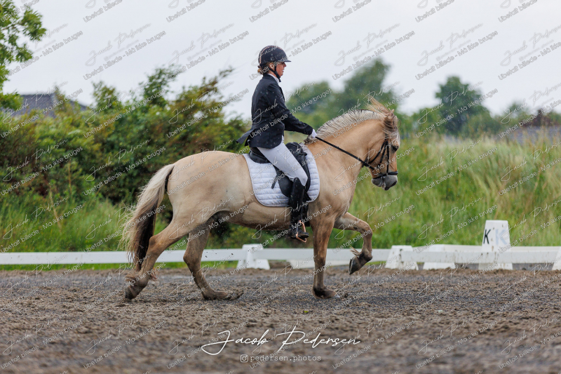 Nibe_Klasse_13_JM_Senior_Dressur-62